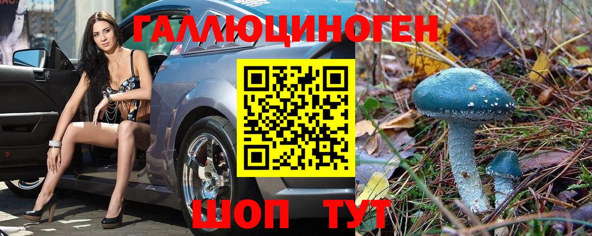 Нефтекумск  Псилоцибиновые грибы Magic Shrooms  Вход с VPN 
